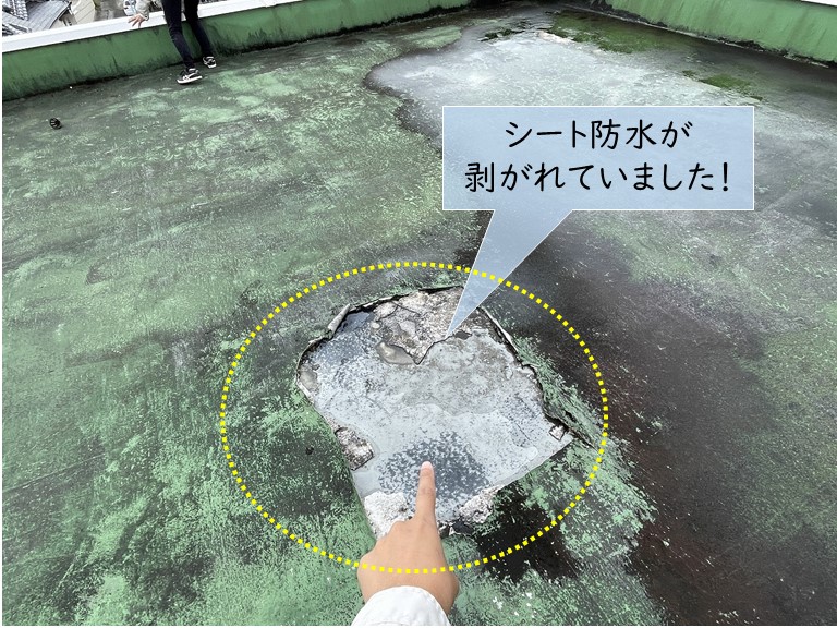 忠岡町の陸屋根のシート防