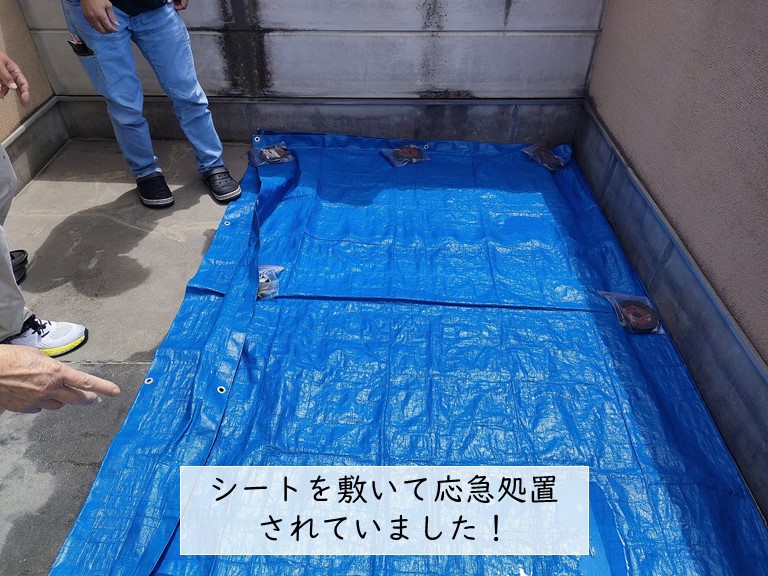 忠岡町バルコニーにブルーシートを敷いて応急処置されていました