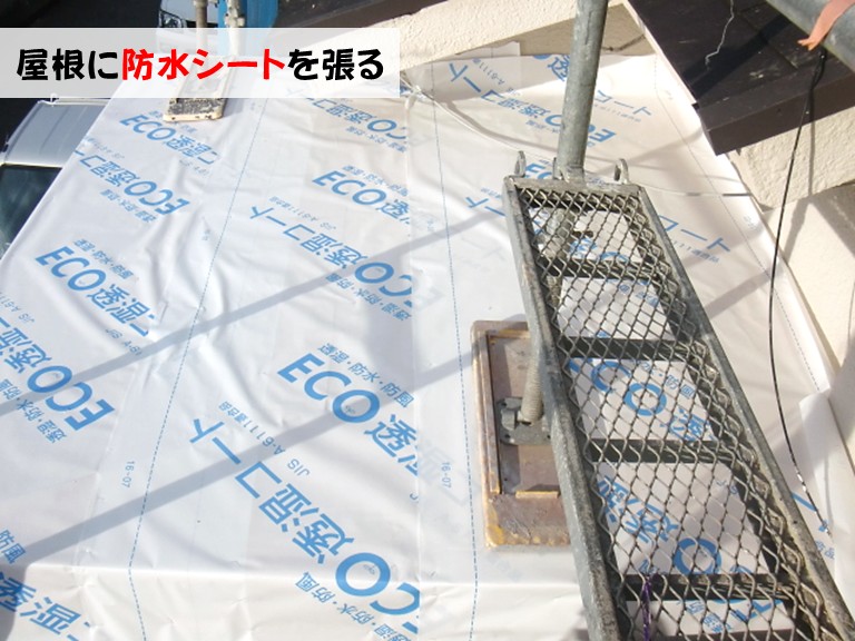 忠岡町屋根に防水シートを張る