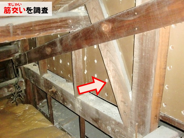 忠岡町筋交いを調査