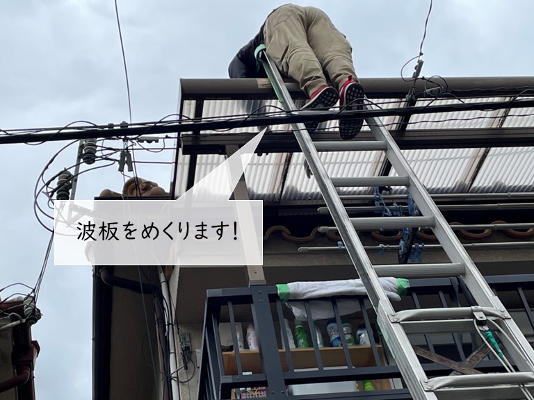 泉佐野市の波板をめくります