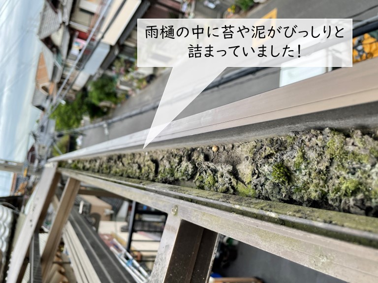 泉佐野市の波板屋根の雨樋が