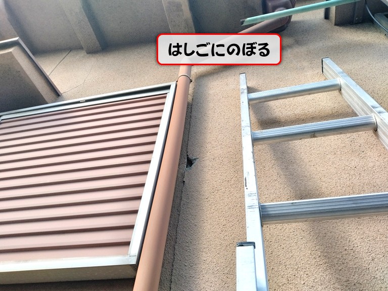 泉佐野市はしごにのぼる