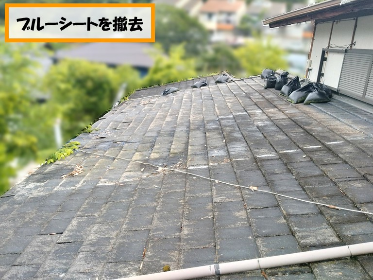 泉佐野市ブルーシートを撤去