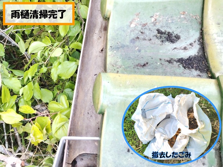 泉佐野市雨樋清掃完了撤去したゴミ