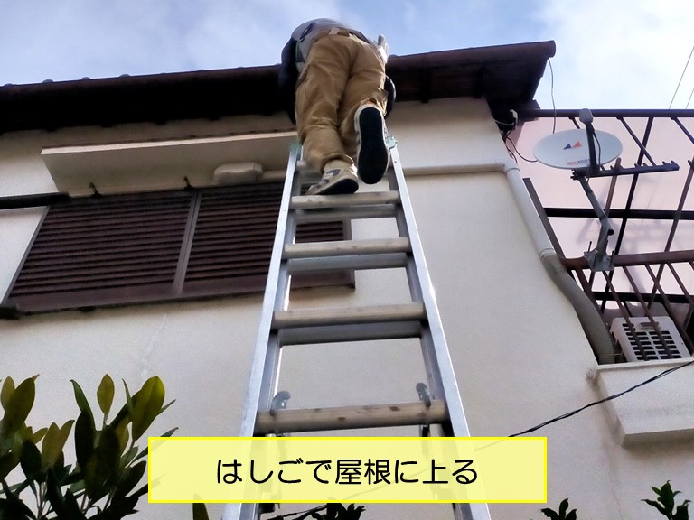 泉南市 はしごで屋根に上る