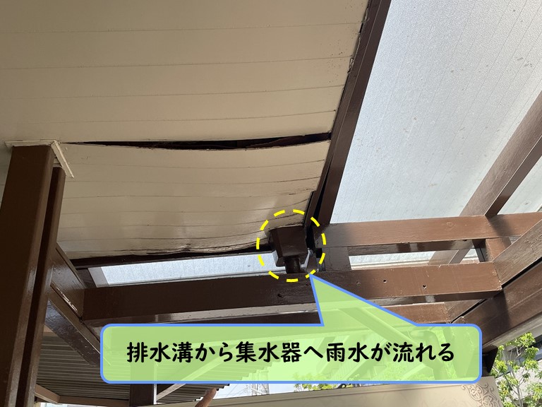 泉南市 排水溝から集水器へ雨水が流れる