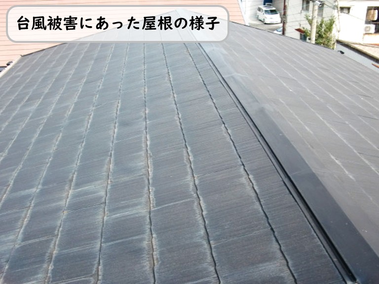 泉南市で台風被害にあった現場の屋根