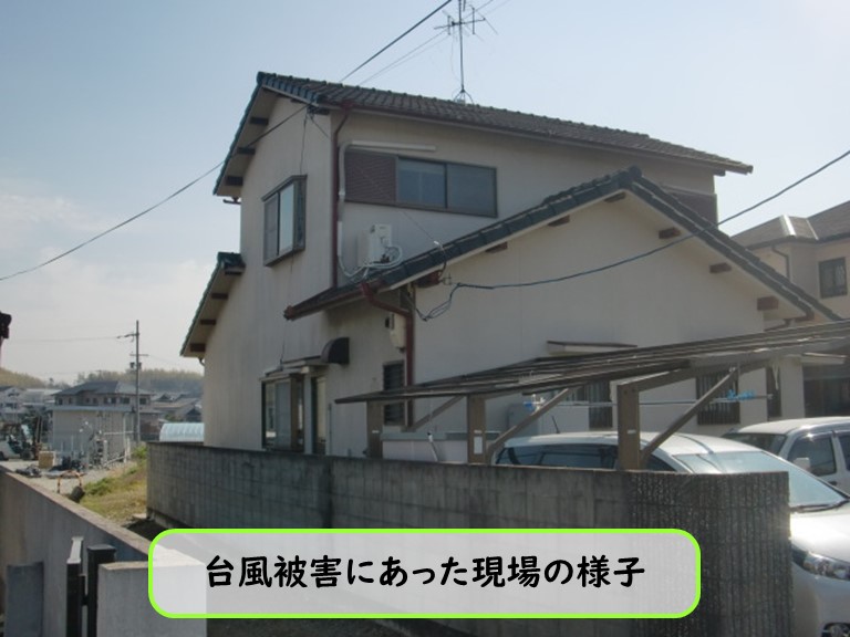 泉南市で台風被害現場