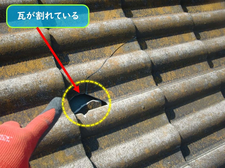 泉南市で瓦が割れている