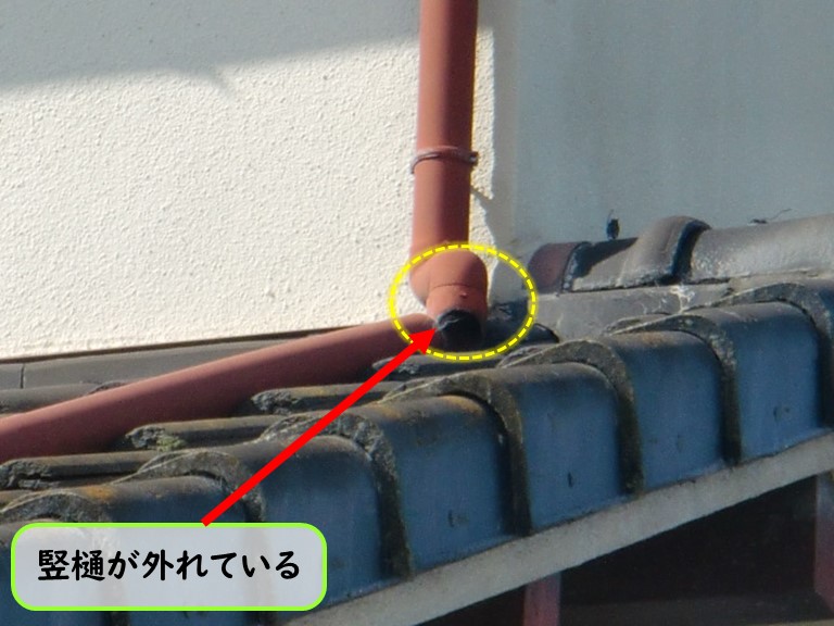 泉南市で竪樋が外れている