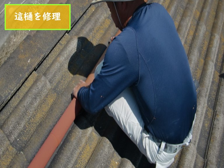 泉南市で這樋を修理