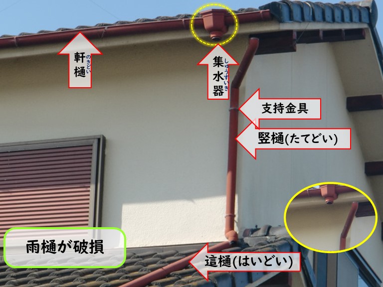 泉南市で雨樋が破損