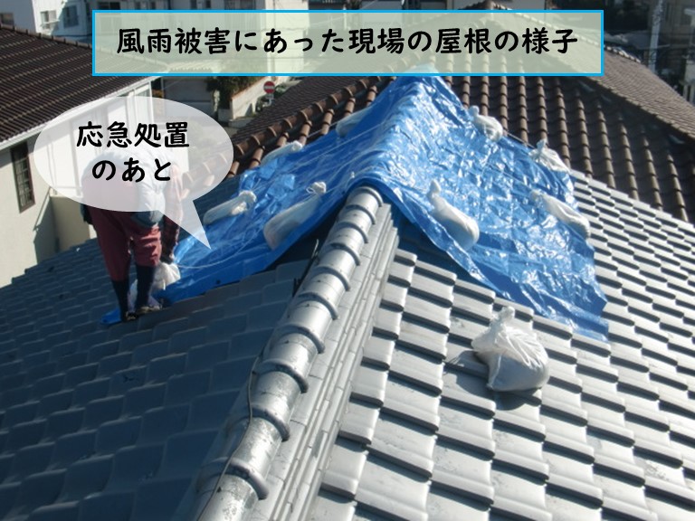 泉南市で風雨災害に遭った現場の屋根の様子