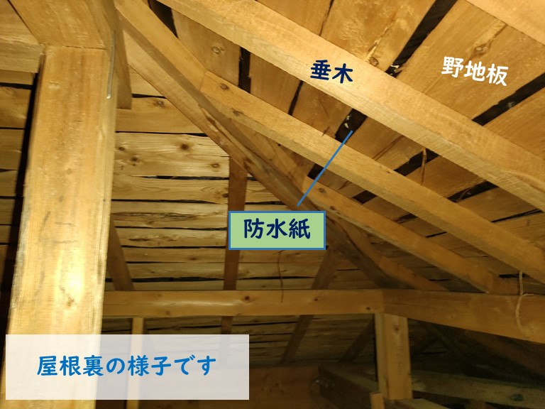 泉南市の屋根裏を調査！