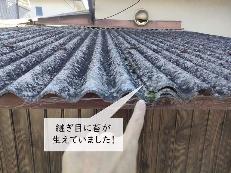 泉南市の波型スレートに苔が生えています