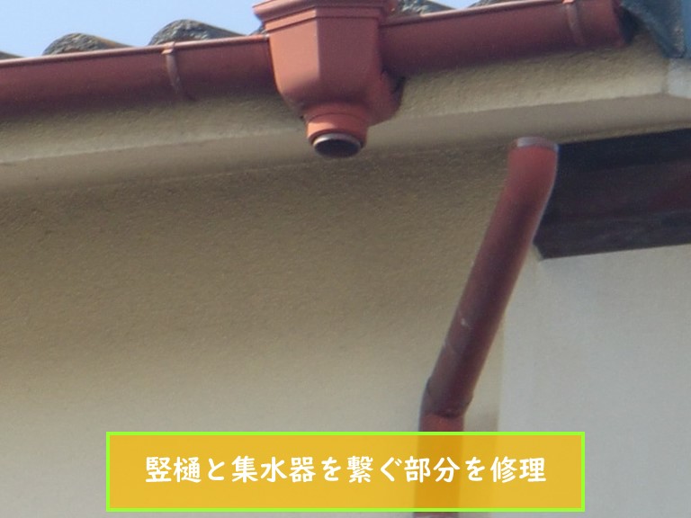 泉南市の竪樋と集水器を繋ぐ部分を修理