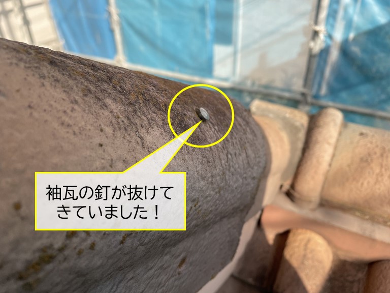 泉南市の袖瓦を固定している釘が抜けてきていました