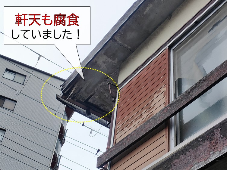 泉南市の軒天に雨水が廻っています