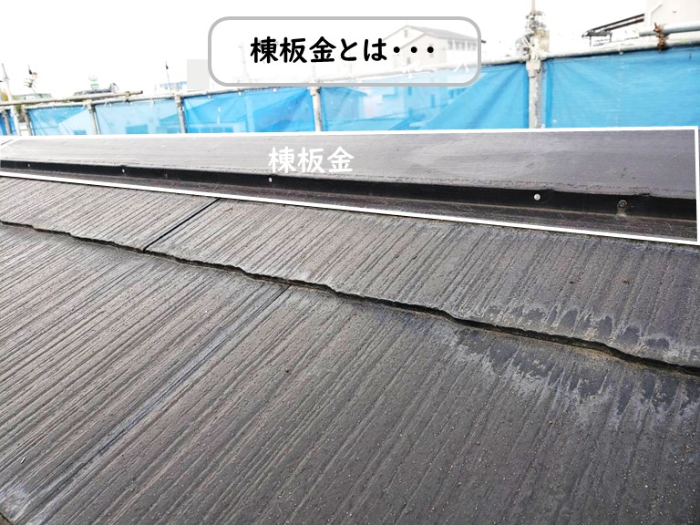 泉南市棟板金とは