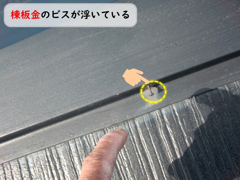 泉南市棟板金のビスが浮いている