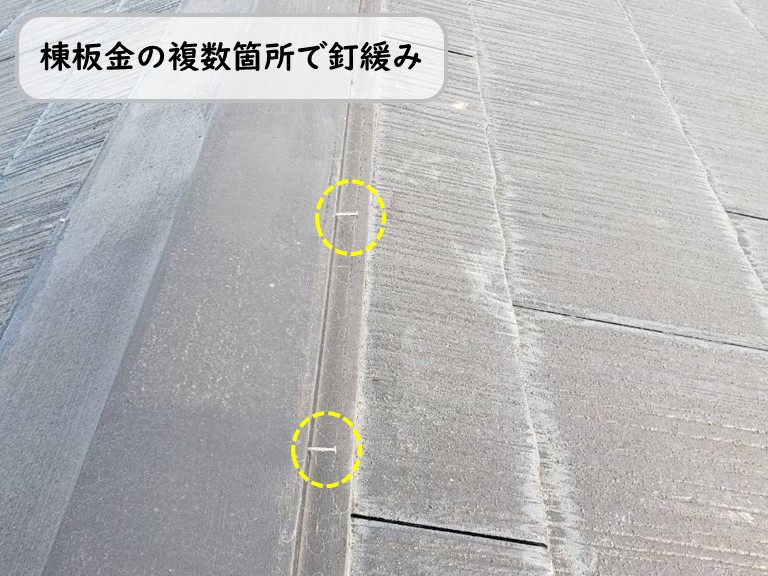 泉南市棟板金複数個所で釘緩み