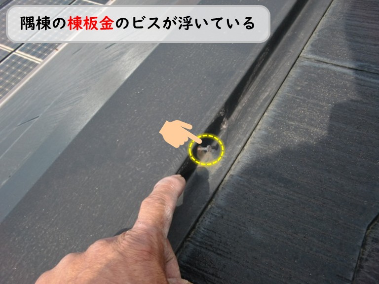 泉南市隅棟の棟板金のビスが浮いている