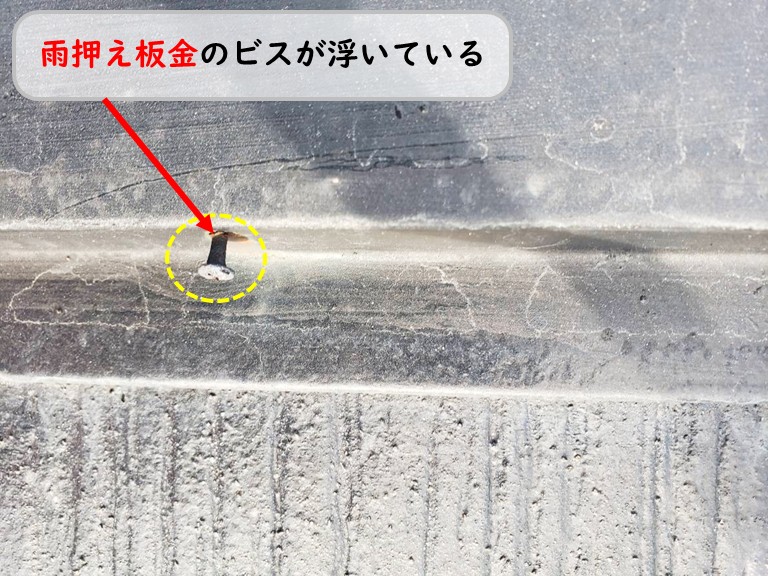 泉南市雨押え板金ビス浮き