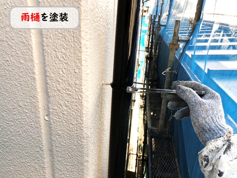 泉南市雨樋を塗装