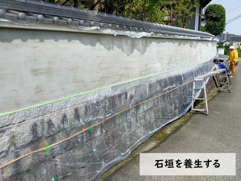 泉大津市 石垣を養生する