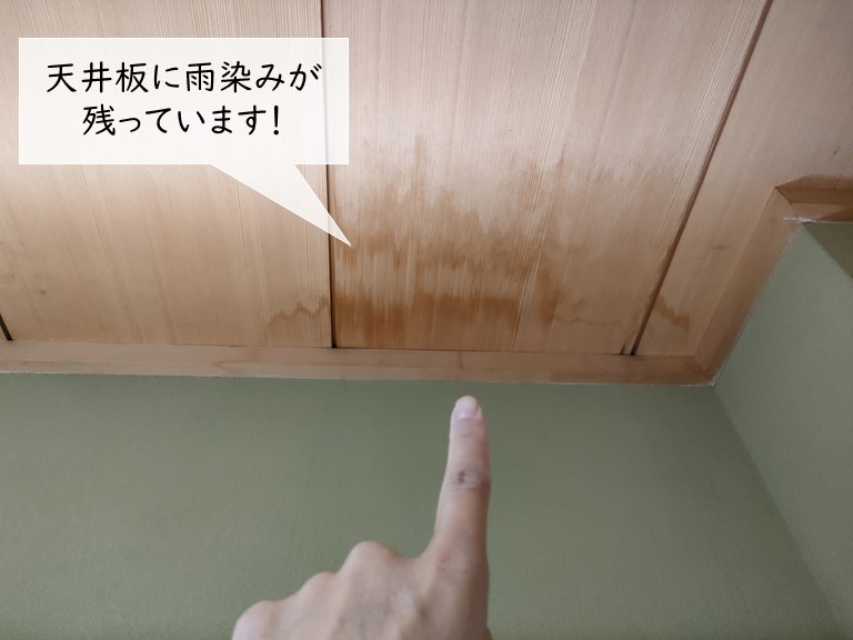 泉大津市の和室の天井に雨染み