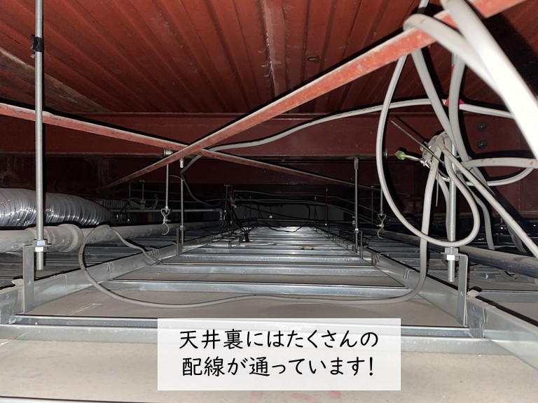 泉大津市の天井裏