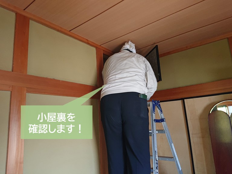 泉大津市の小屋裏を確認します