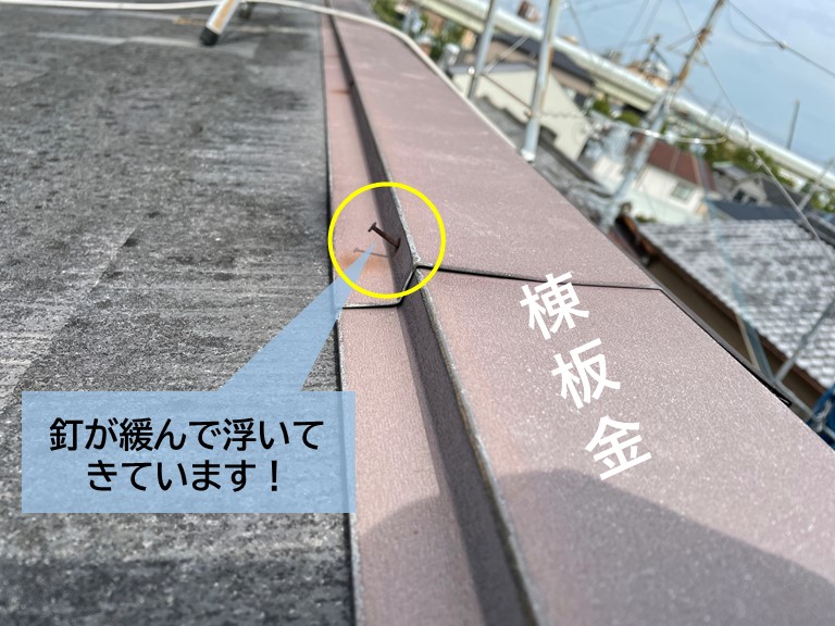 泉大津市の棟板金の釘が緩んで抜けてきていました