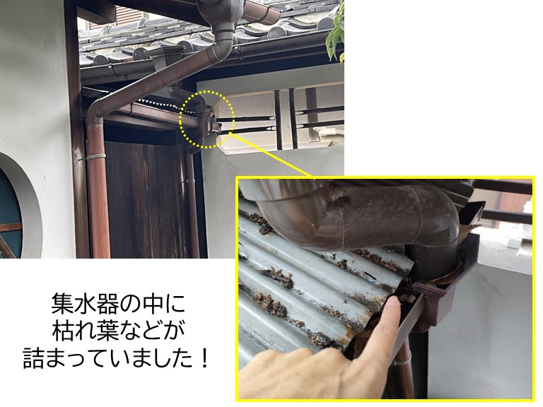 泉大津市の波板屋根の集水器が詰まっていました