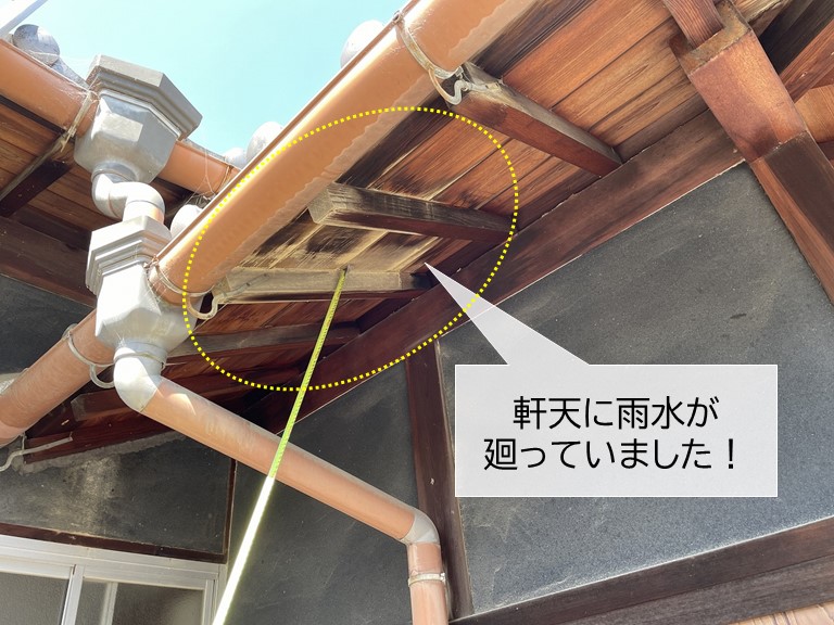 泉大津市の軒天井に雨水が廻っています