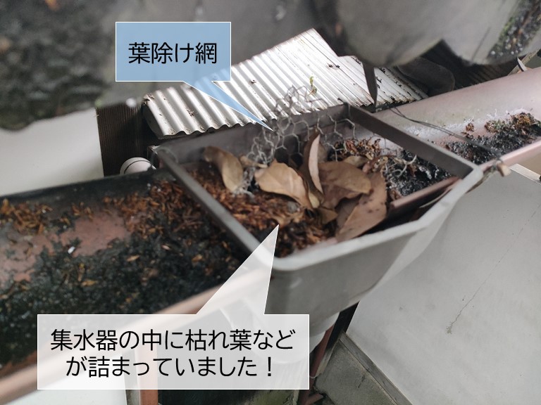 泉大津市の集水器の中に枯れ葉などが詰まっていました