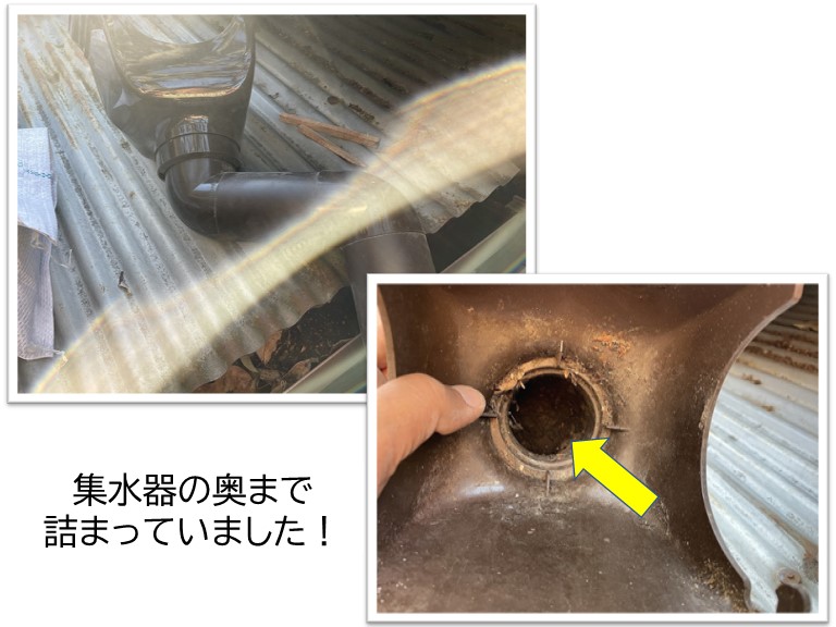 泉大津市の集水器の奥まで詰まっていました