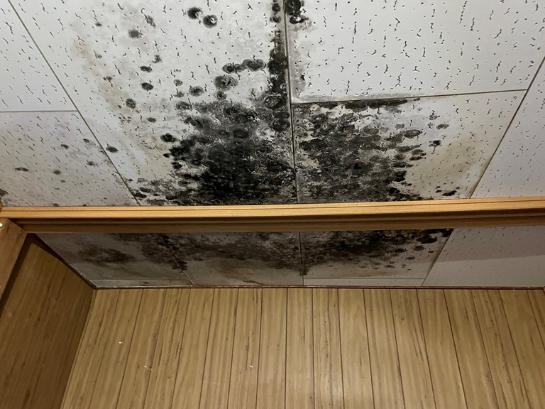 泉大津市の雨漏りで傷んだ天井板