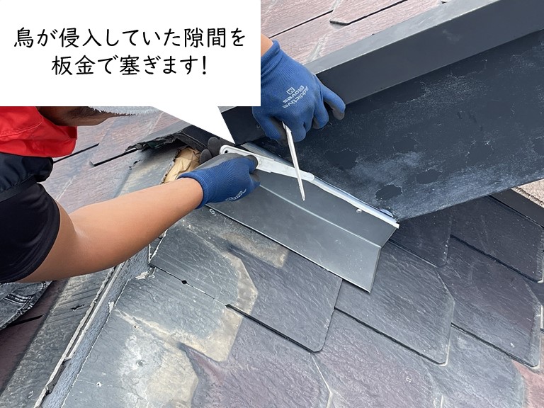 泉大津市の鳥が侵入していた箇所を板金で塞ぎました