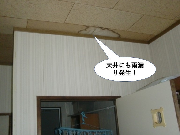 熊取町で天井に雨染み