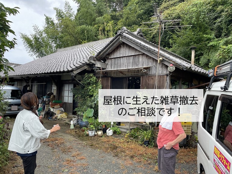 熊取町の屋根の雑草のご相談