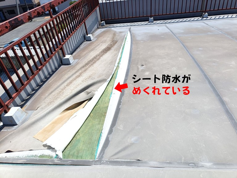 熊取町シート防水がめくれている