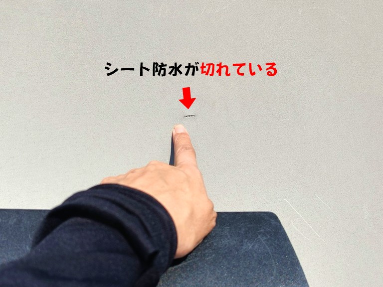 熊取町シート防水が切れている