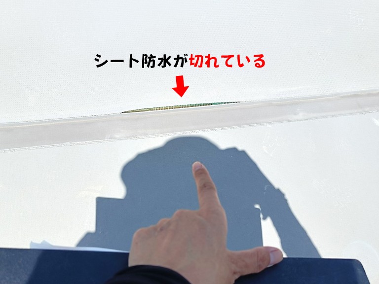 熊取町シート防水が切れている1