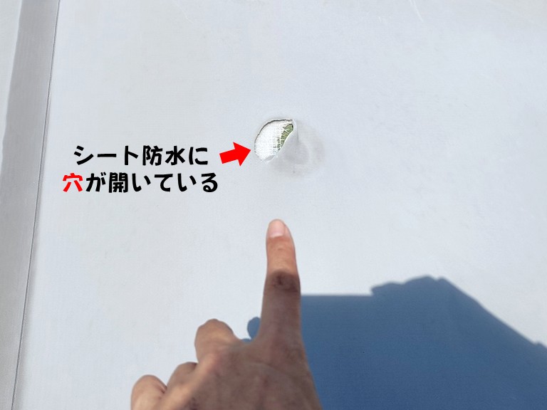 熊取町シート防水に穴が開いている