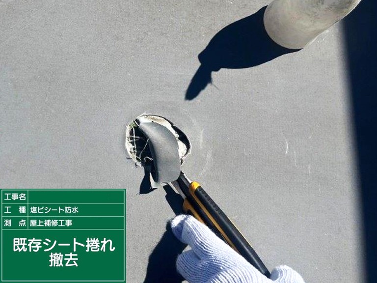 熊取町既存シートめくれ撤去