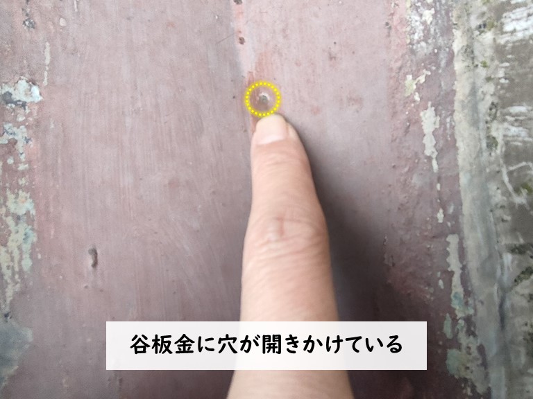 貝塚市 谷板金に穴が開きかけている