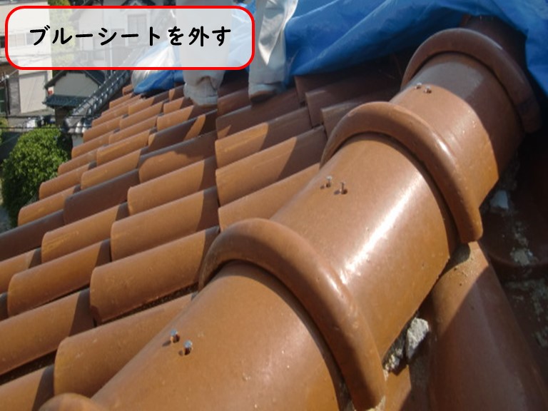 貝塚市でブルーシートを外す