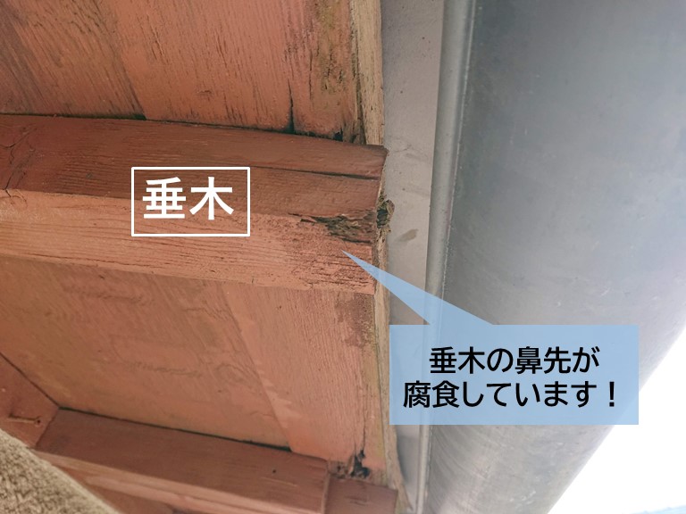 貝塚市で垂木の鼻先が腐食しています